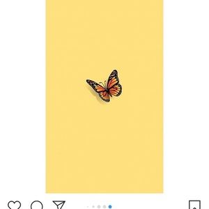 Meet your Posher, Vanessa